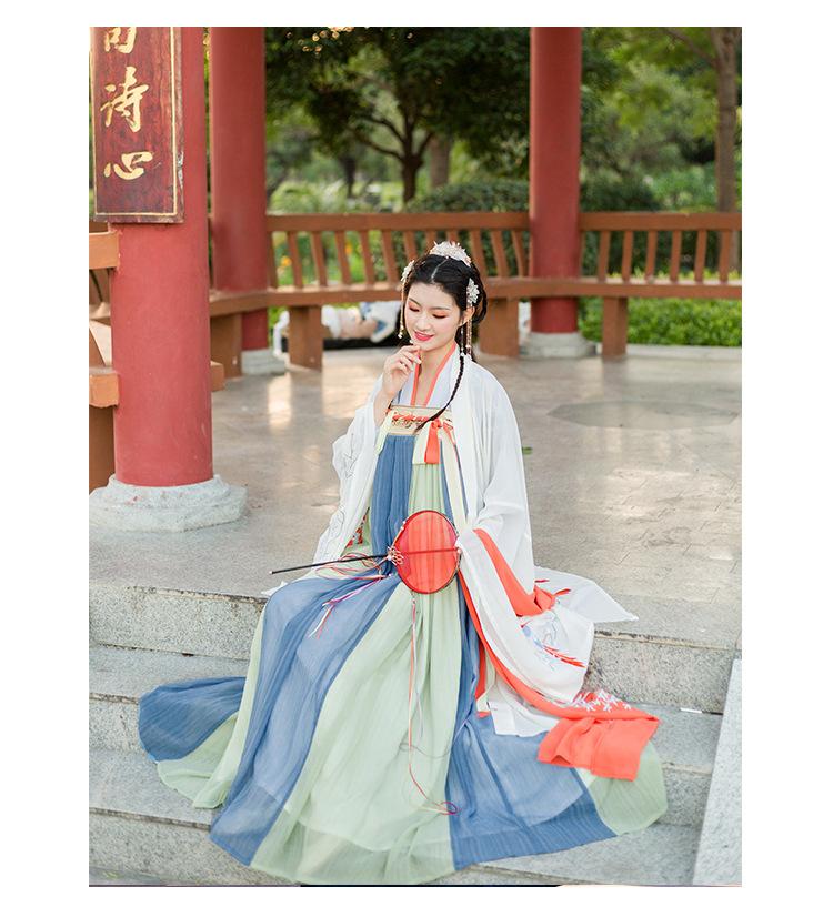 Hanfu with Flowers and Birds Embroidery Large Sleeve Shirt Suit
