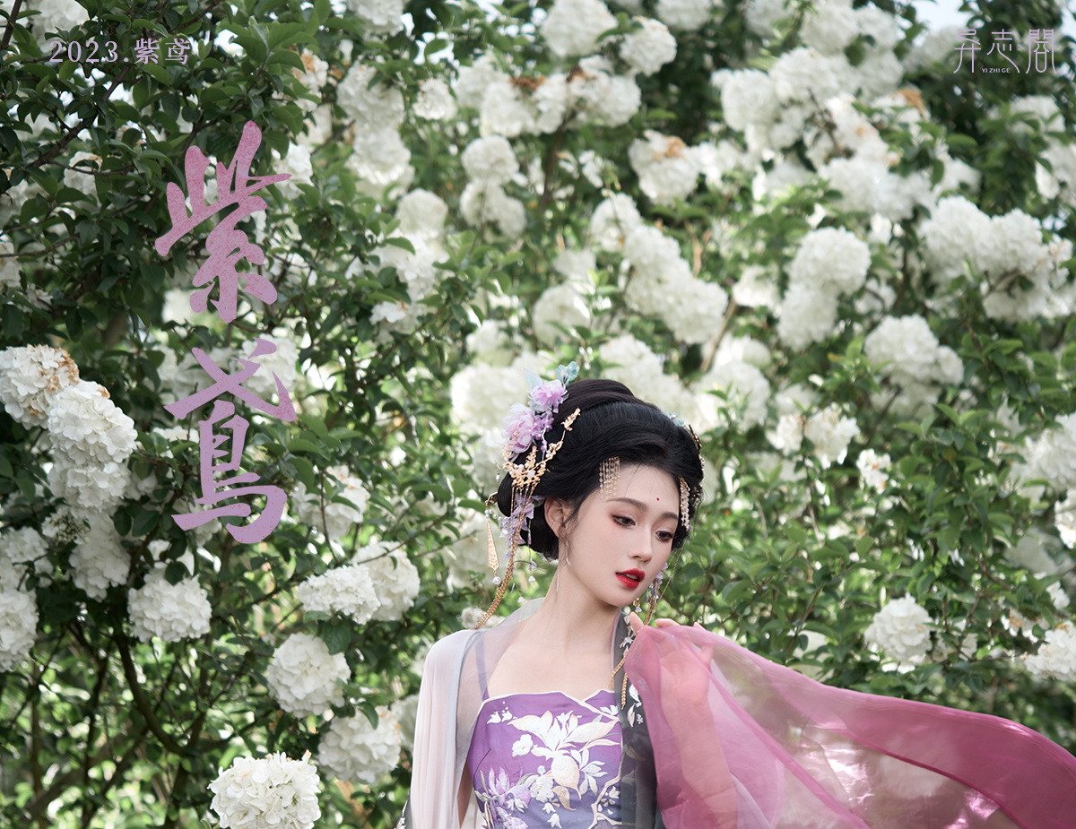 Pre Order 【Purple Glede】 Han Element Embroidered Flower Myrobalan Hanfu Dress Set