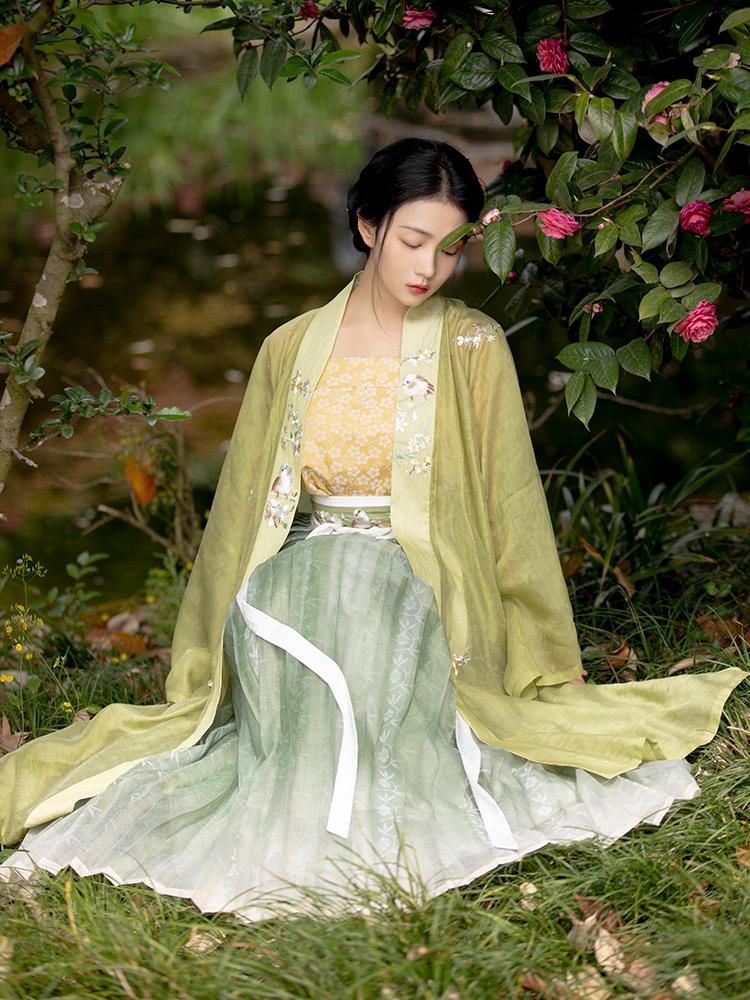 Spring Straight-Collared Double-Breasted Gown (Song Dynasty Hanfu)