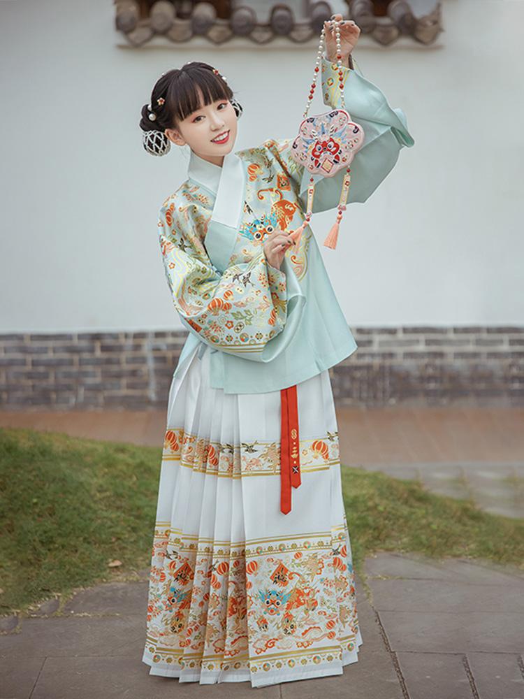 Han and Tan Dynasties Hanfu (Autumn and Winter Coat Skirts)