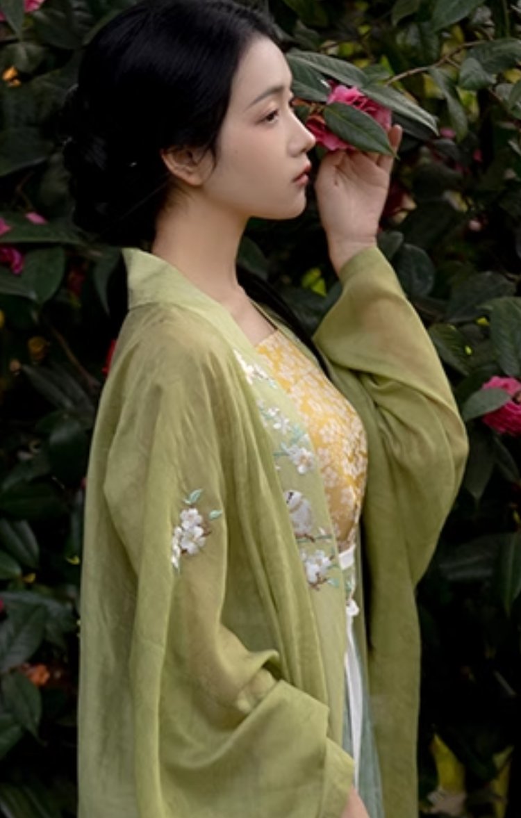 Spring Straight-Collared Double-Breasted Gown (Song Dynasty Hanfu)