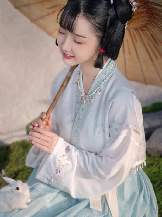 Chinese Hanfu Women's Embroidered Waist-Length Skirt (Spring and Summer Style)