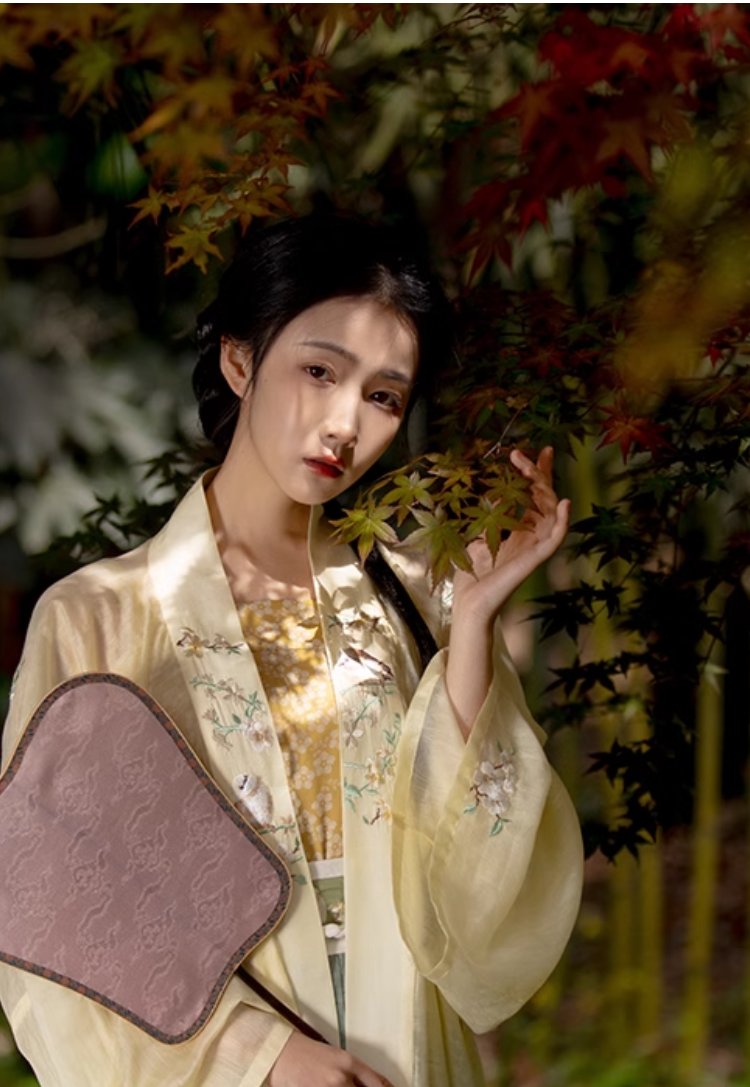 Spring Straight-Collared Double-Breasted Gown (Song Dynasty Hanfu)