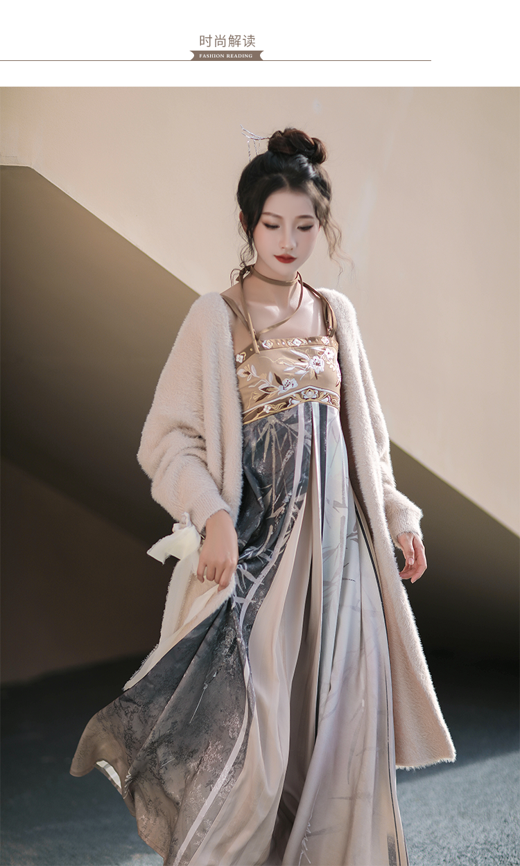 Tang Dynasty Hanfu Dress + Knit Cardigen for Winter